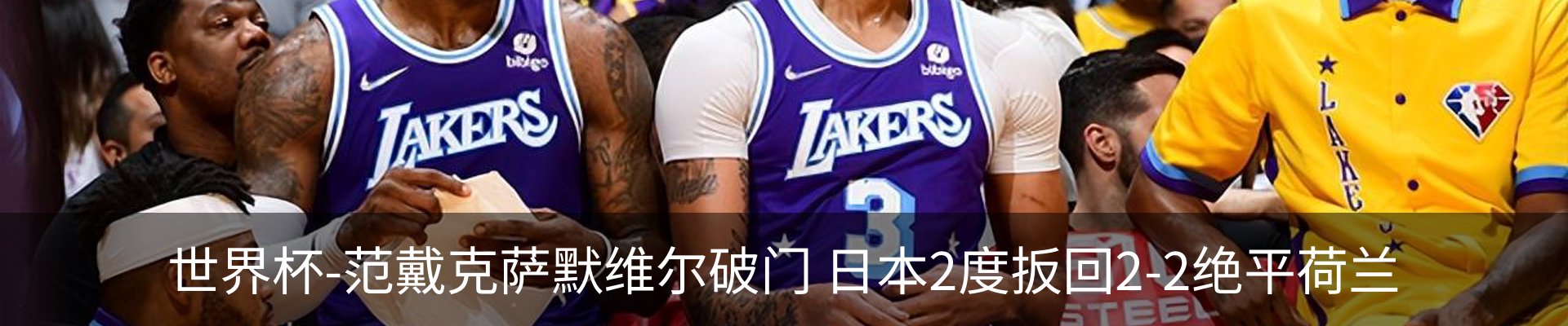 最新动态